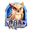 Owl Wild