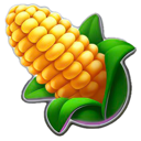 Corn