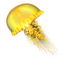 Golden JellyFish