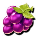 Grapes