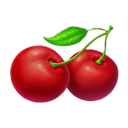 Cherries