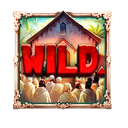 Wild