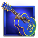 Elvis Guitar