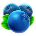 Blueberries