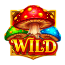 Wilds (Joker)