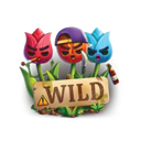 Wild