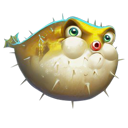 Pufferfish