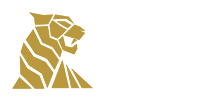 TigerSpin