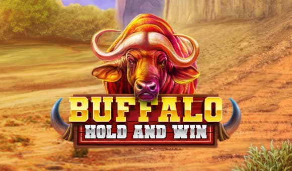 Buffalo Hold and Win