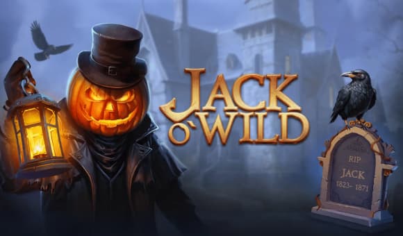 Jack O'Wild
