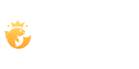 Joo