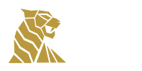 TigerSpin