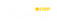 bwin Casino logo