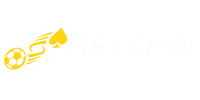 HeySpin logo