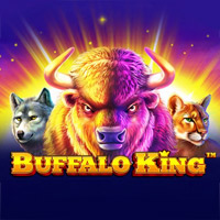 Buffalo King