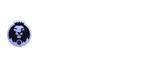 CryptoLeo Casino Recensione - Tempi di prelievo, opinioni degli utenti