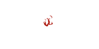 Hippozino